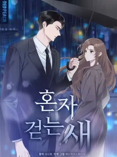 [ 18+ ] “Chú Chim Đi Một Mình”